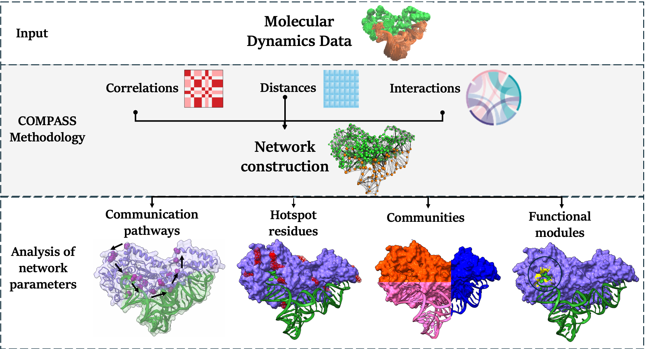 ANR-JCJC (IDPFold) Award